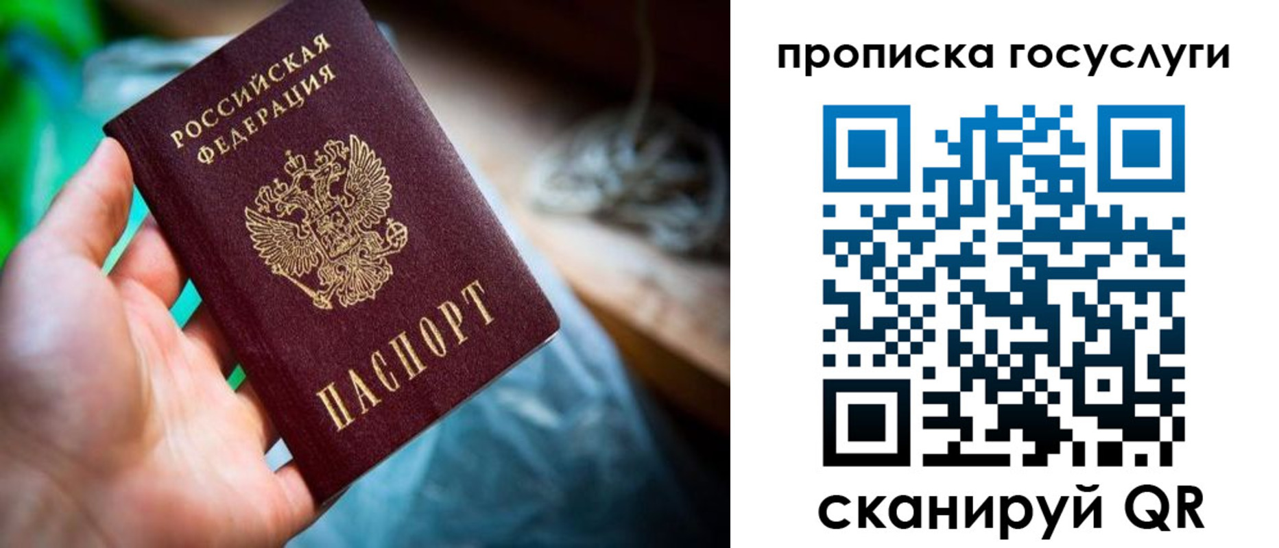 временная регистрация в квартире в Новосибирской области